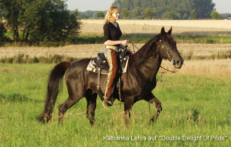 Tennessee Walker